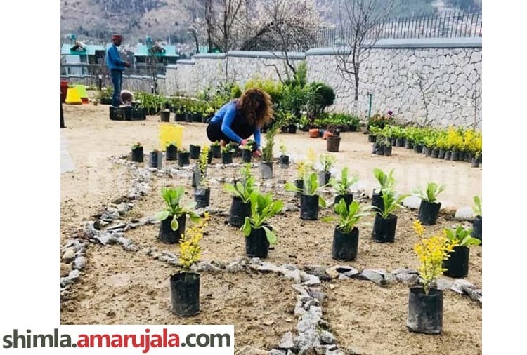 bollywood queen kangana ranaut celebrate 31st birthday in Manali