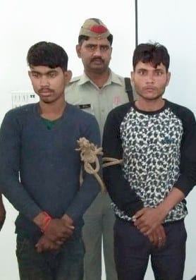 oil stealing gang busted, two arrested