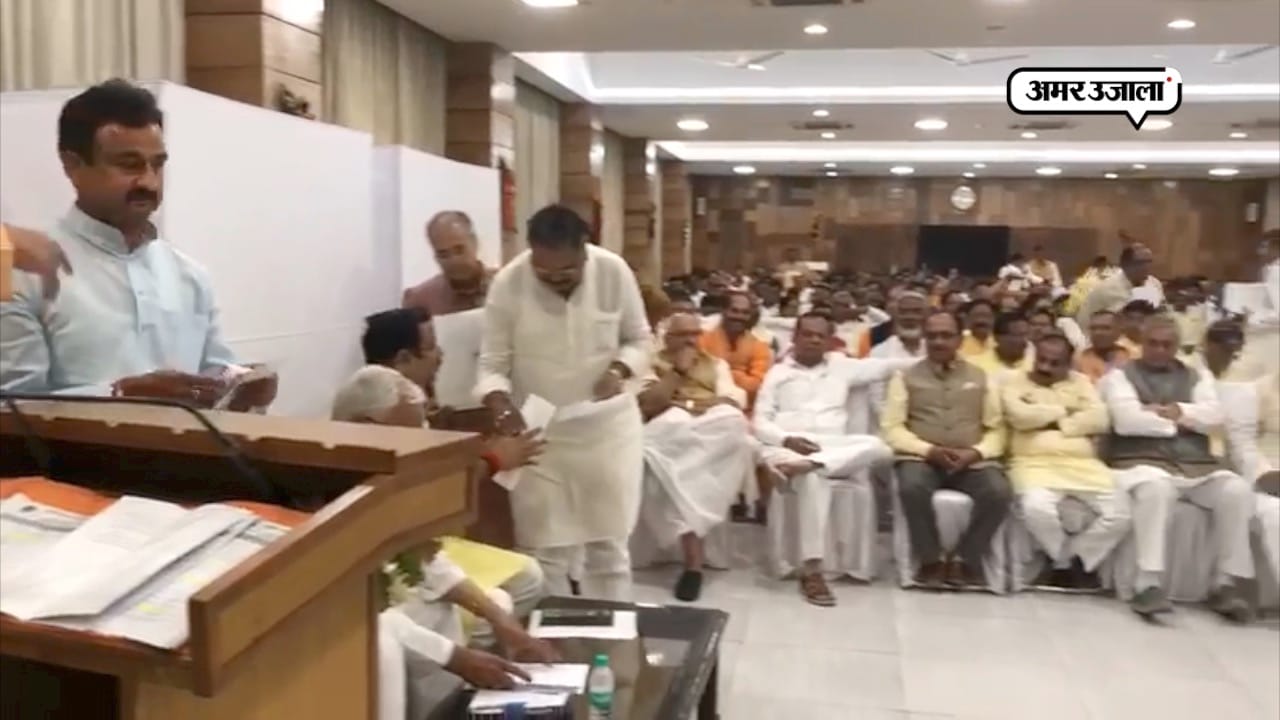 YOGI