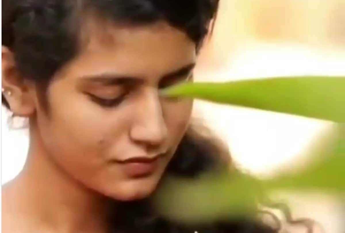 vadodara police used priya prakash varrier photo for safe driving message