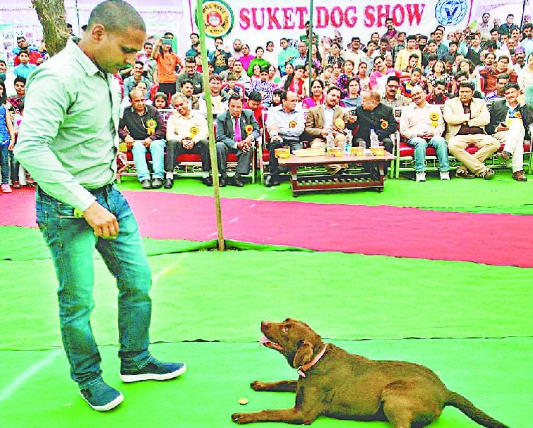 जैक, सिंघम, कृष, भूरी ने अपनी प्रस्तुतियों से किया प्रभावित