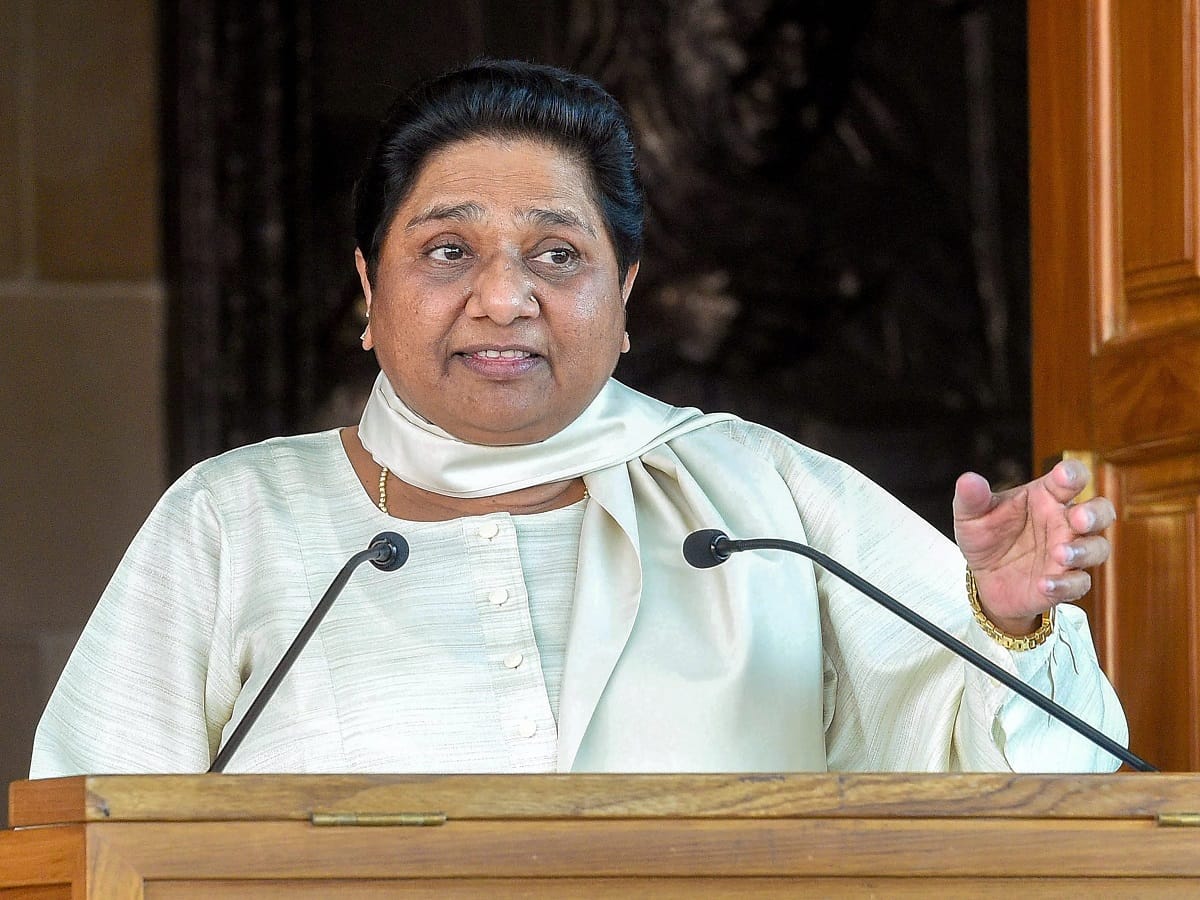 mayawati said, bharat bandh protest was successful