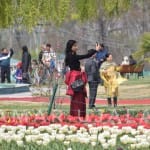 tulip garden