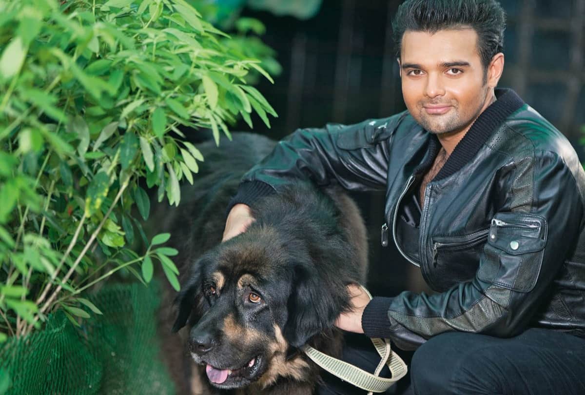 mahaakshay chakraborty mother in law statement on rape case