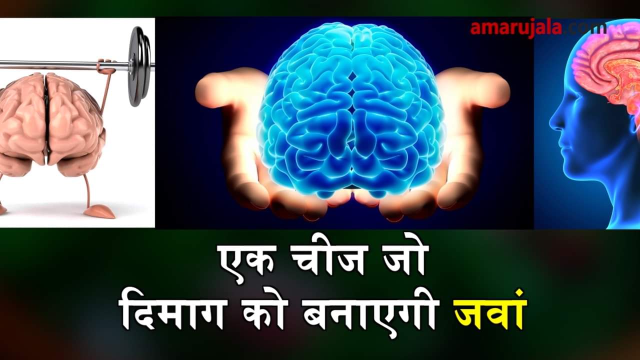 salad to make your brain younger