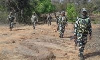 नक्सलियों टोह लेने के लिए सुरक्षा बलों ने छाना जंगल