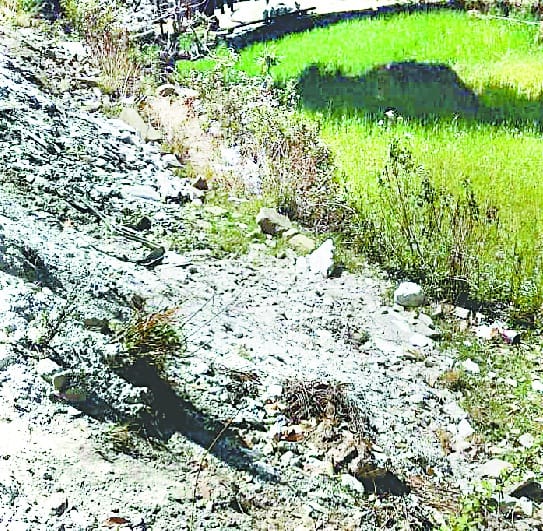 Farmers farmed with debris