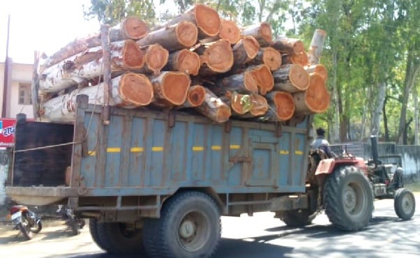 ओवरलोड लकड़ी से भरी टैक्टर ट्राली से दुर्घटना का खतरा