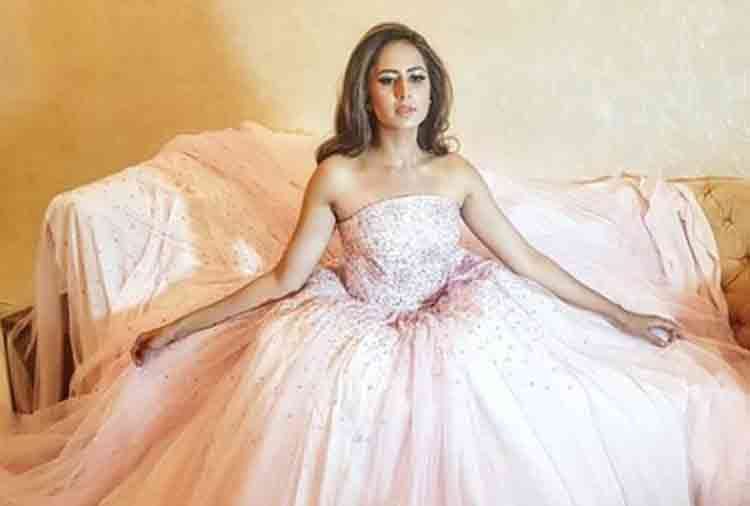 kapil sharma co star sargun mehta shared a photo people told her like octopus
