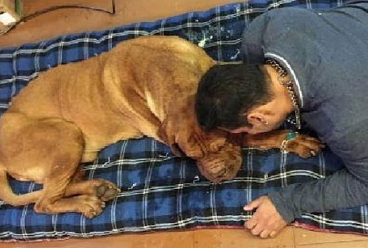  these 16 amazing photos of bollywood actor salman khan 