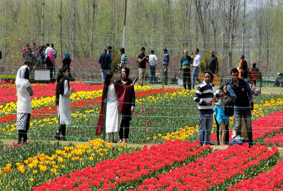 Indira Gandhi Memorial Tulip Garden in Srinagar
