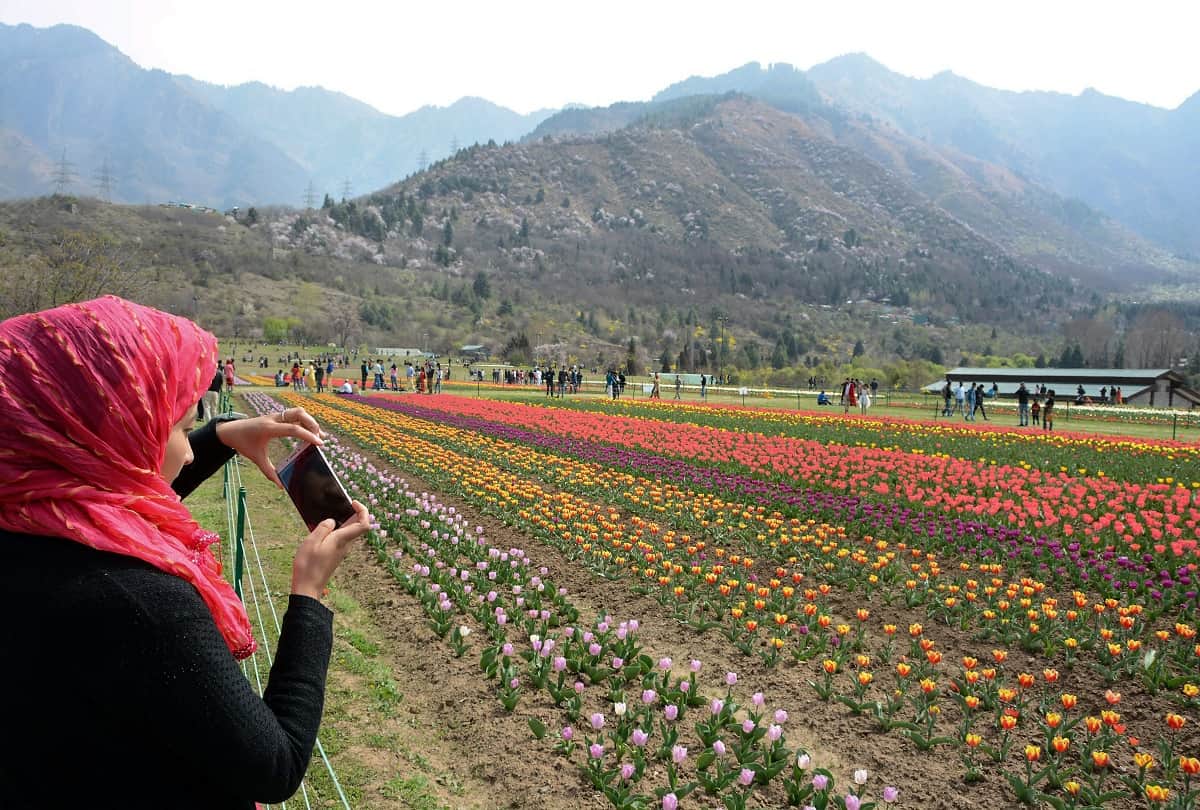 Indira Gandhi Memorial Tulip Garden in Srinagar