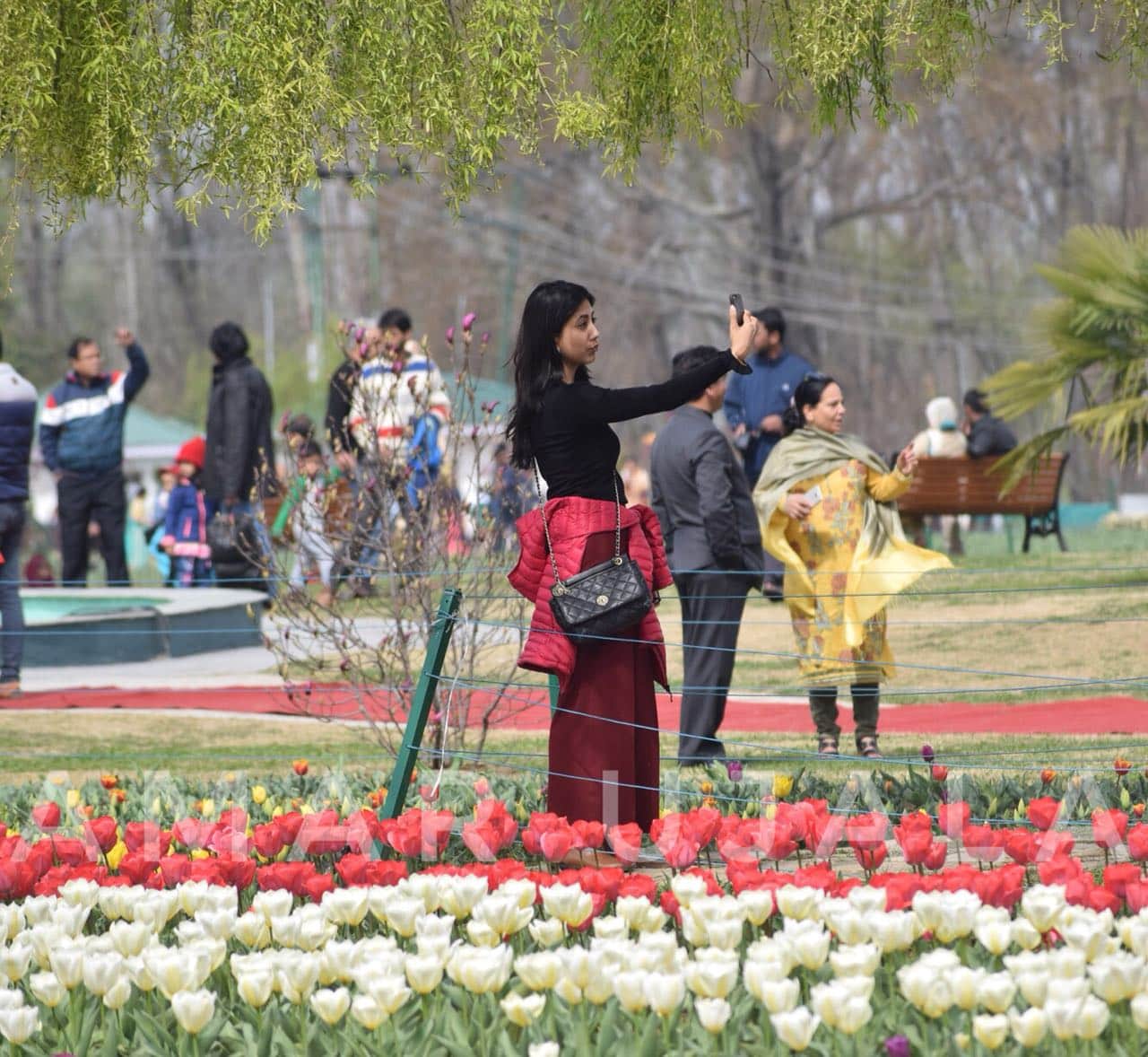 valentine day 2020 most wonderful place to propose near Delhi love and dating places near me