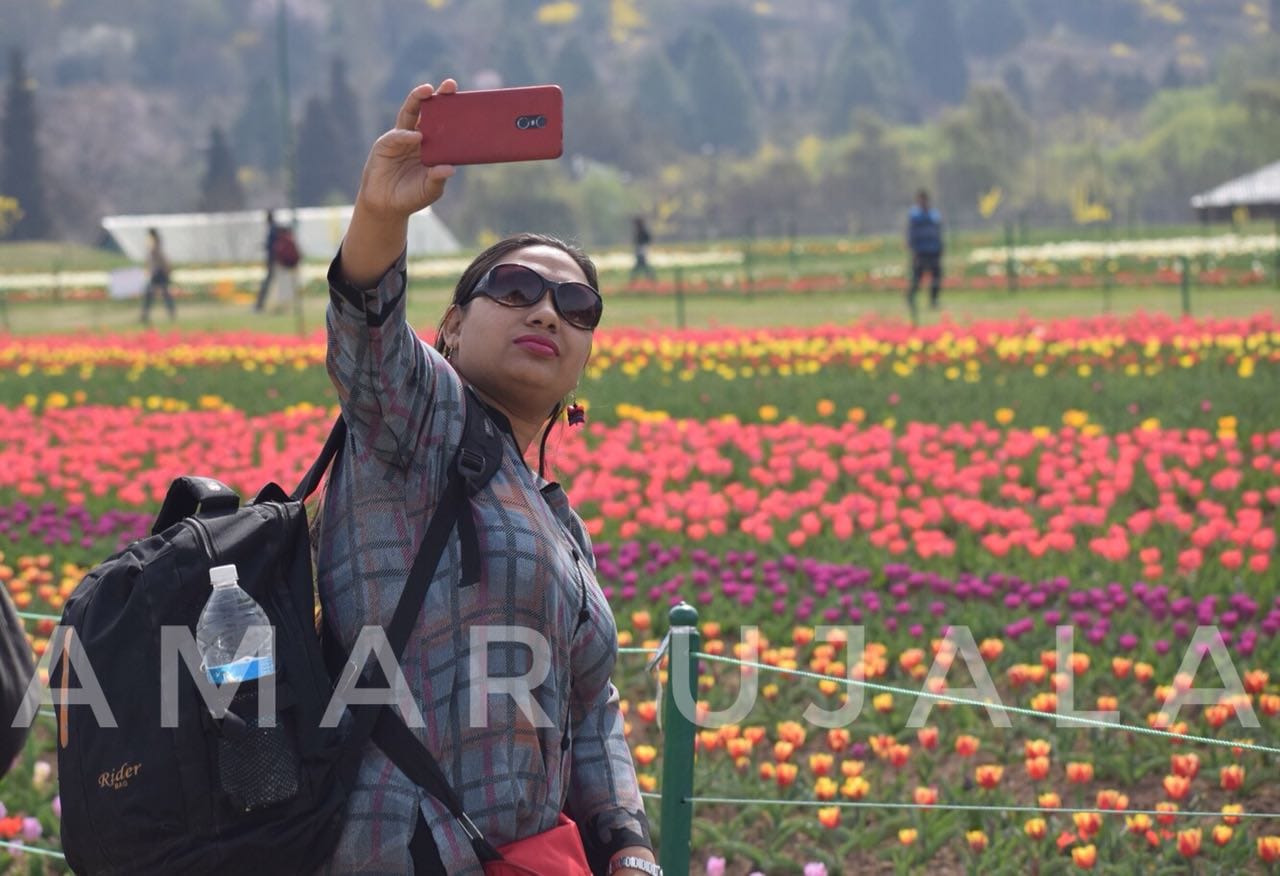 Asia's Largest Tulip was opened for visitors on Sunday kashmir