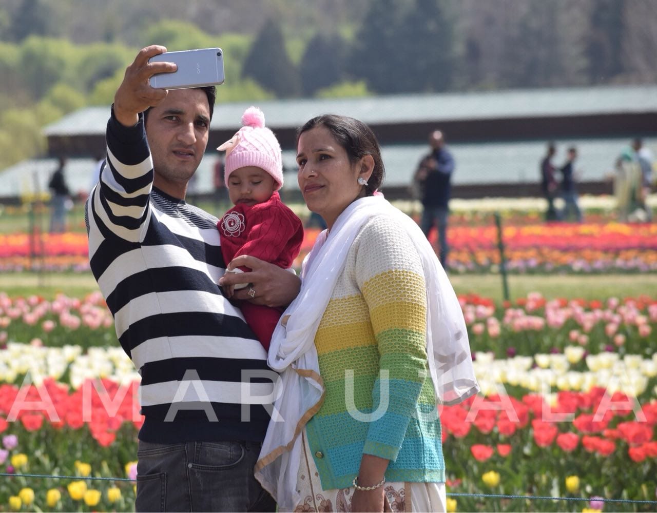 Asia's Largest Tulip was opened for visitors on Sunday kashmir