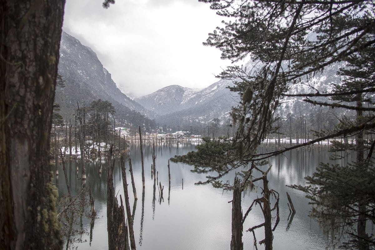 Government is making ease entry rules for foreign tourists in protected area of Arunachal Pradesh