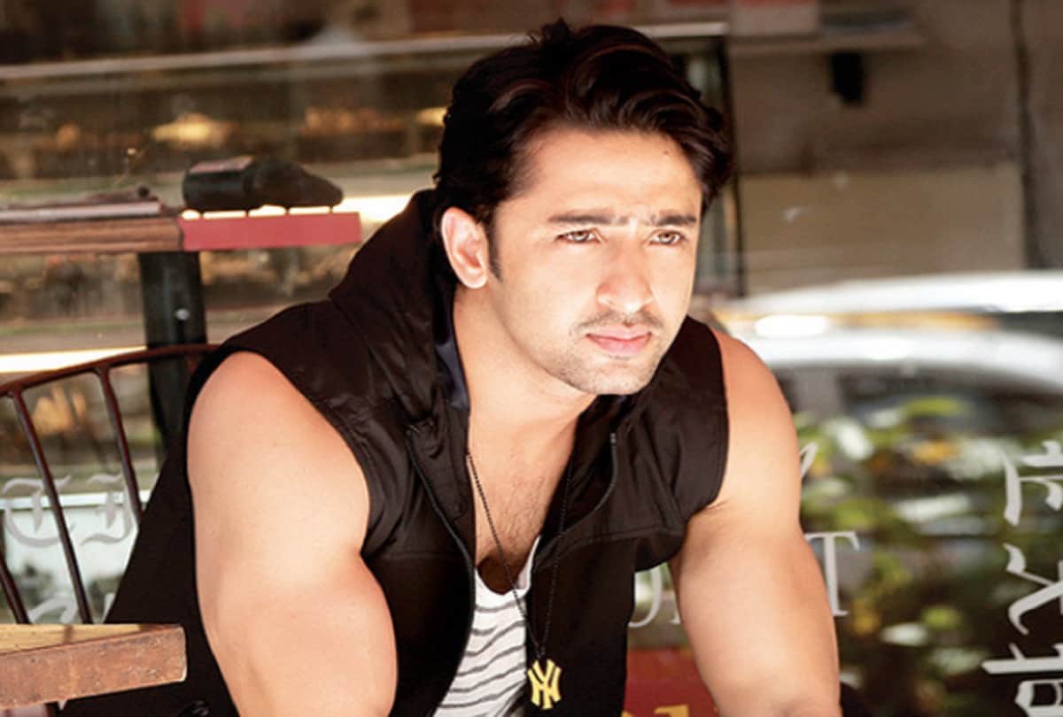 Shaheer Sheikh and Ruchikaa Kapoor are married The best part about our relationship is that we are friends first