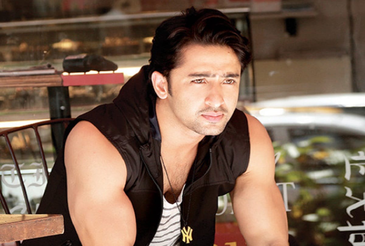 Shaheer Sheikh and Ruchikaa Kapoor are married The best part about our relationship is that we are friends first