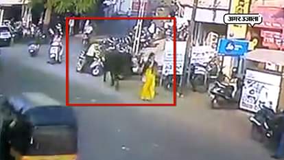 BULL ATTACKS WOMAN IN BHARUCH OF GUJARAT, VIDEO GOES VIRAL