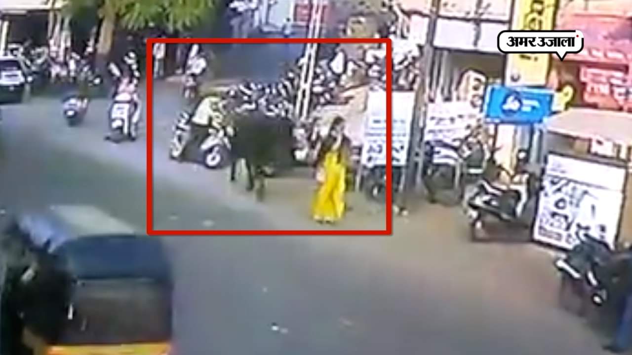 सांड का हमला