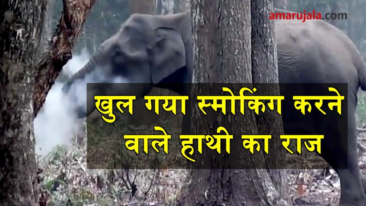 प्रतीकात्मक तस्वीर