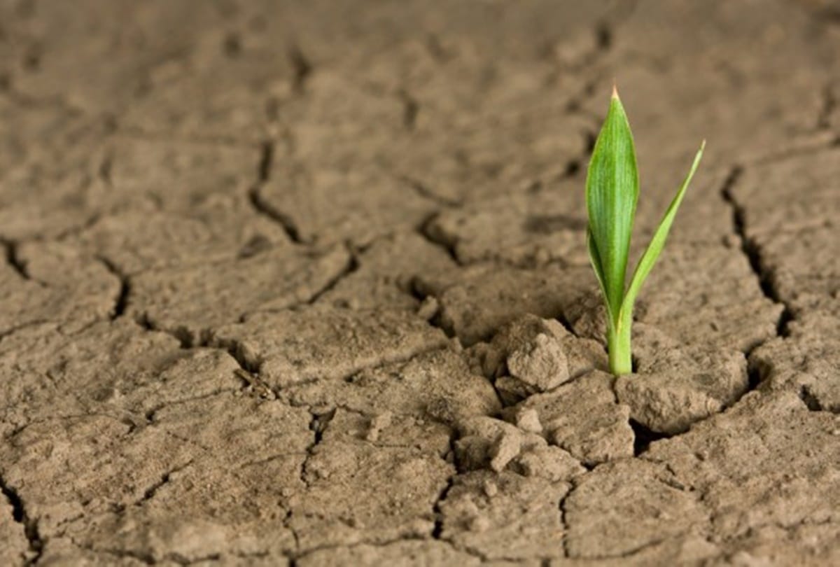 difficult situations always bring hope