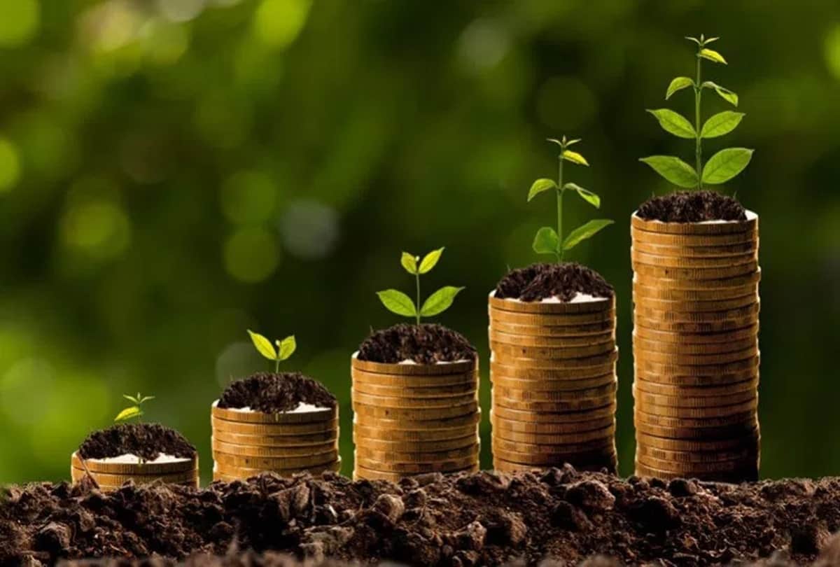 Government Schemes know about new rules of public provident fund and earn money