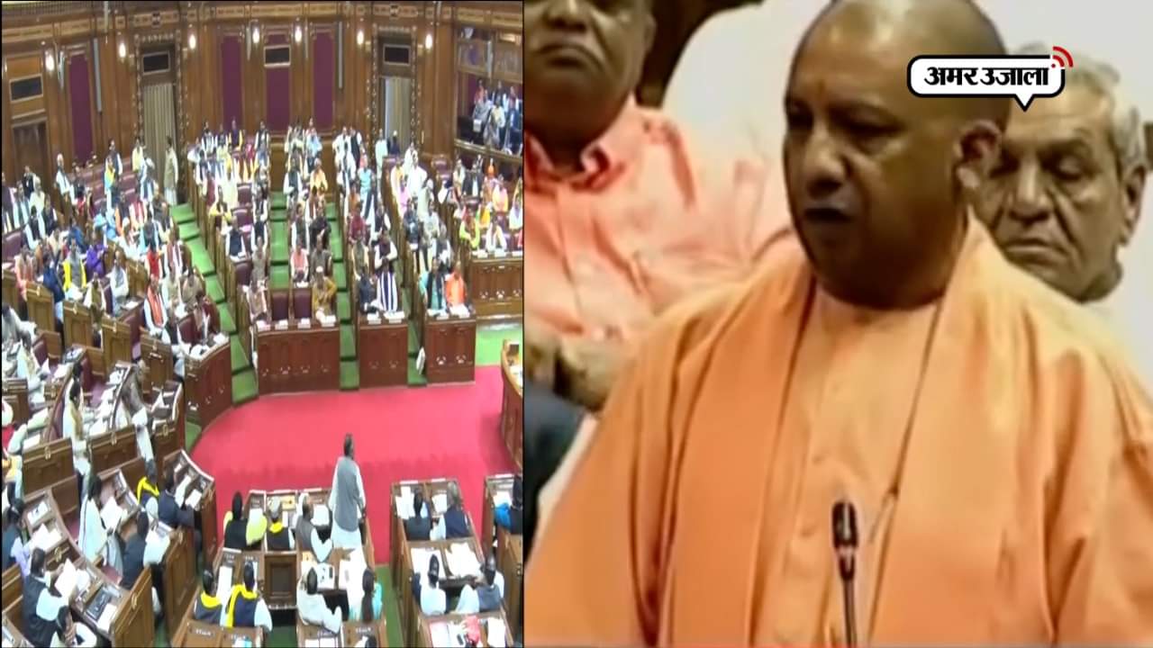 यूपीकोका