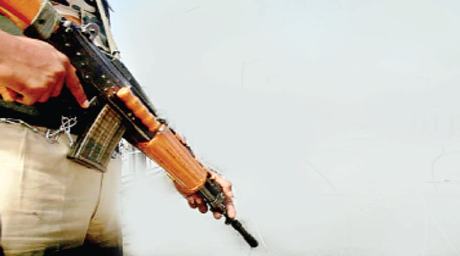 UP: Smart Home Guard now will equipped with weapons