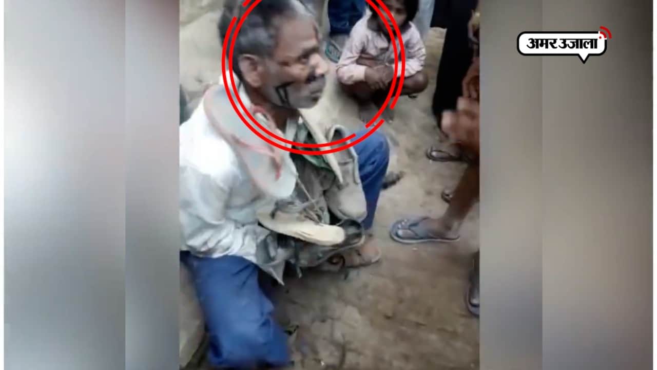 औरैया न्यूज़ 