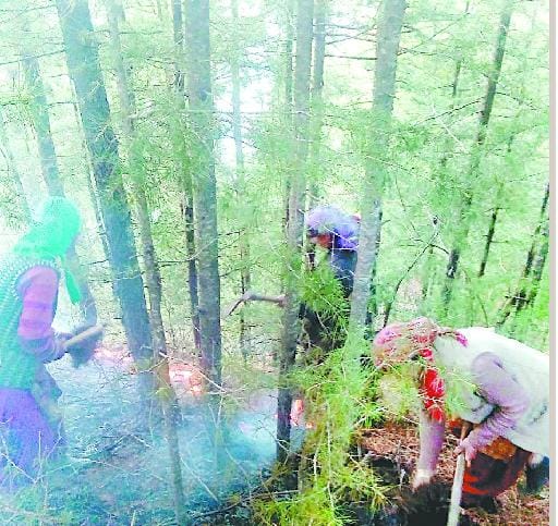 महिलाओं ने जान जोखिम में डाल बुझाई आग