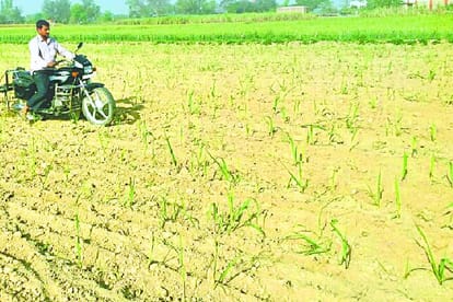 pradeep verma ploughed sugarcane field with the help of bike in ambedkar nagar