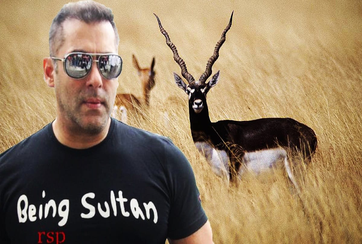 Salman Khan`s gets jail or relief in decision-making case under blackbuck poaching case