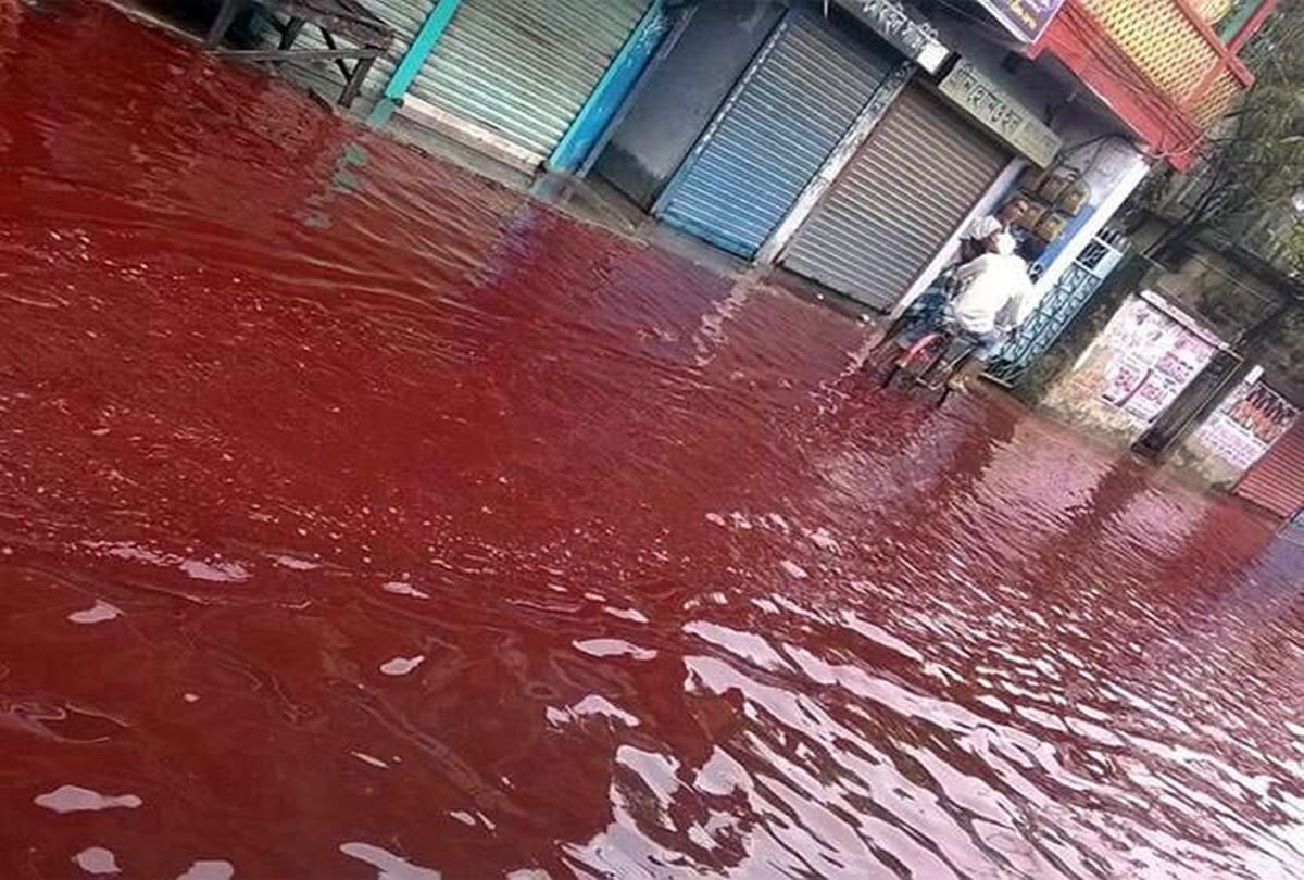 Unraveling the blood rain mystery of Kerala In 2013