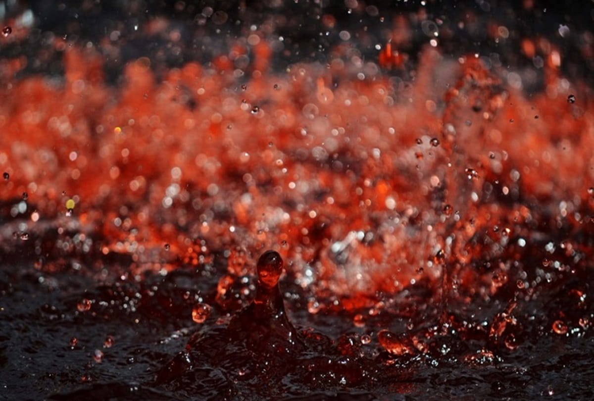 Unraveling the blood rain mystery of Kerala In 2013