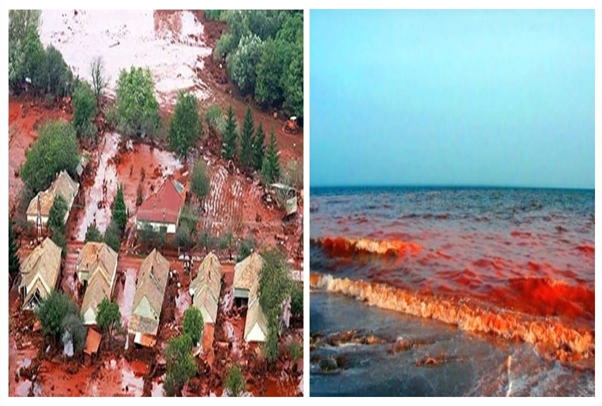 Unraveling the blood rain mystery of Kerala In 2013