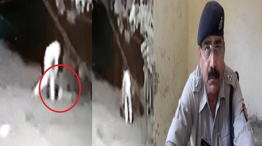 A young man was killed in Baghpat, video viral