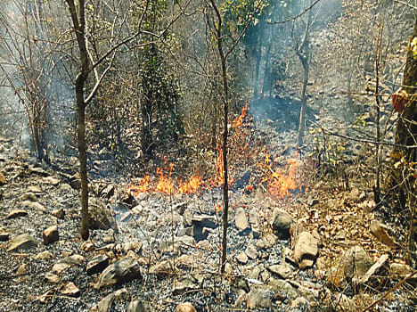 Fire in Devangana forest