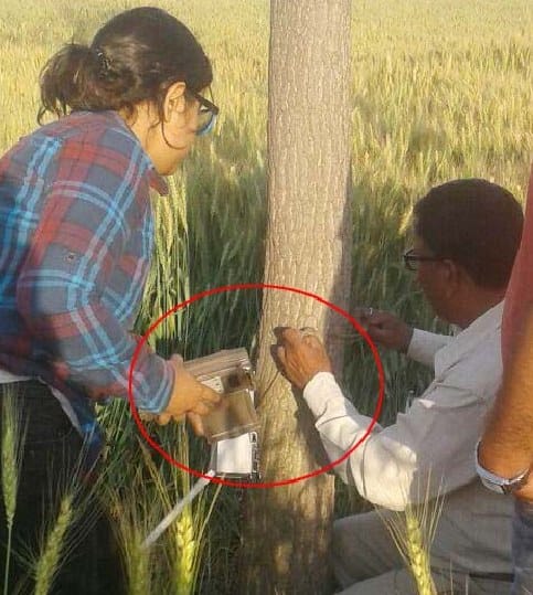 734 Cameras to be installed to count tigers