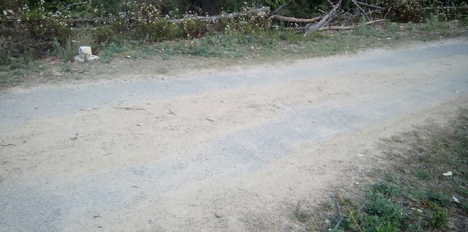 Khari-Bhingrara is scattered on the road
