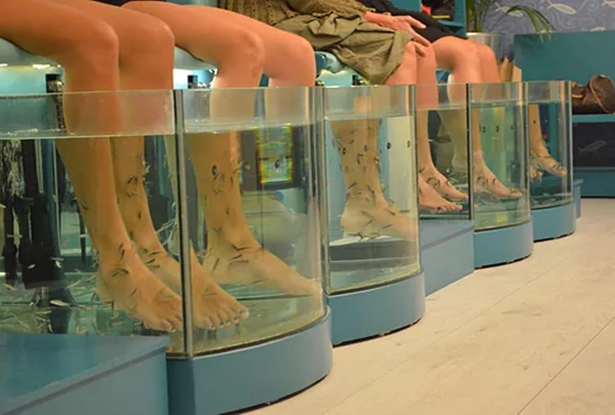 Woman Loses Toes to Fish Pedicure