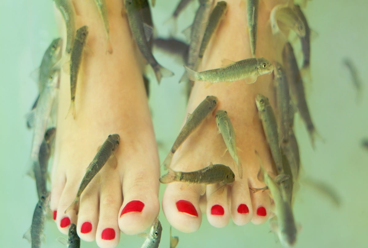 Fancy fish spa could give you HIV and hepatitis C 
