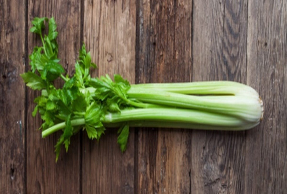5 summer foods that aid weight loss