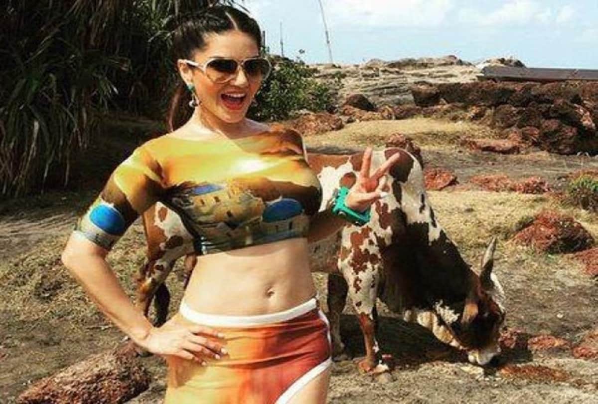 when someone tried to steal sunny leone favorite cow 