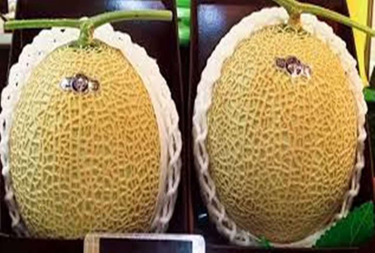 Know about five Worlds most expensive fruits
