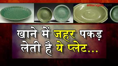 celadon plate detects poisonous food in china special story