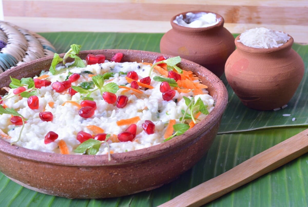 know why you should have your daily bowl of curd