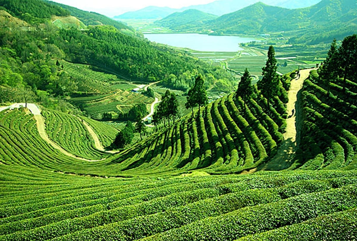 north east Travel in holiday 