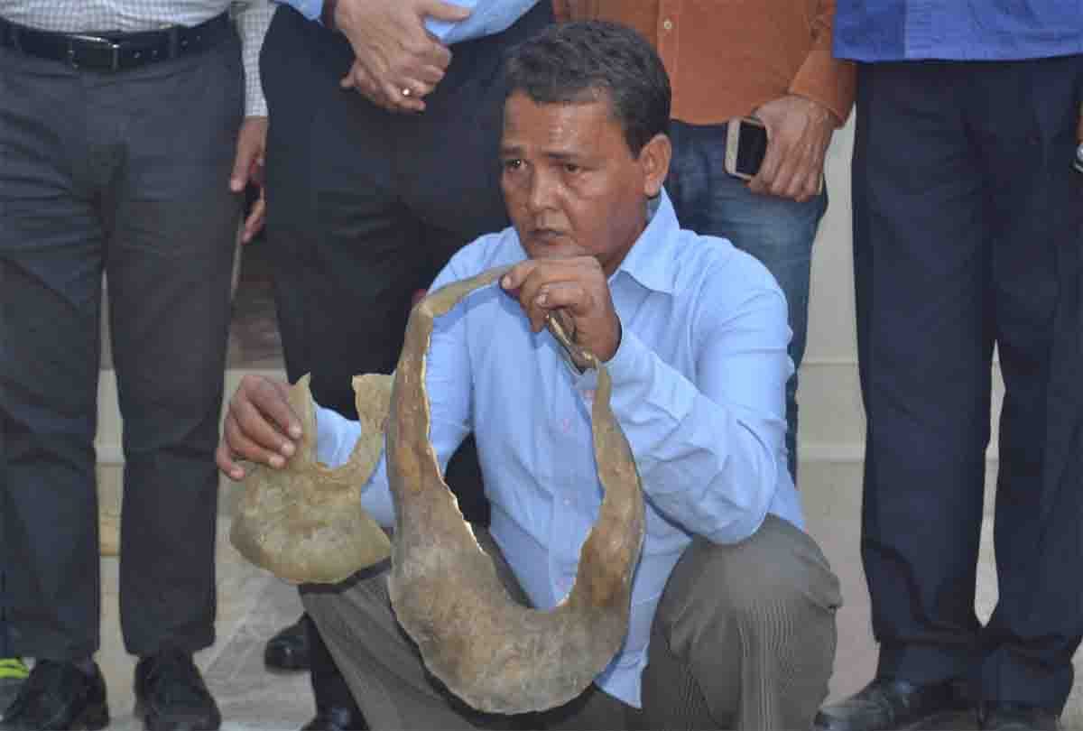 international tortoise skin Smugglers Arrested in kanpur