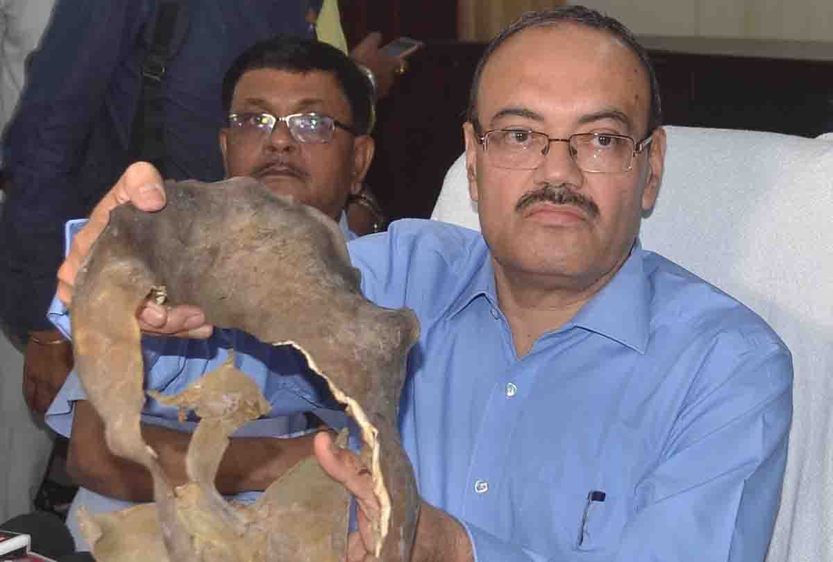 international tortoise skin Smugglers Arrested in kanpur